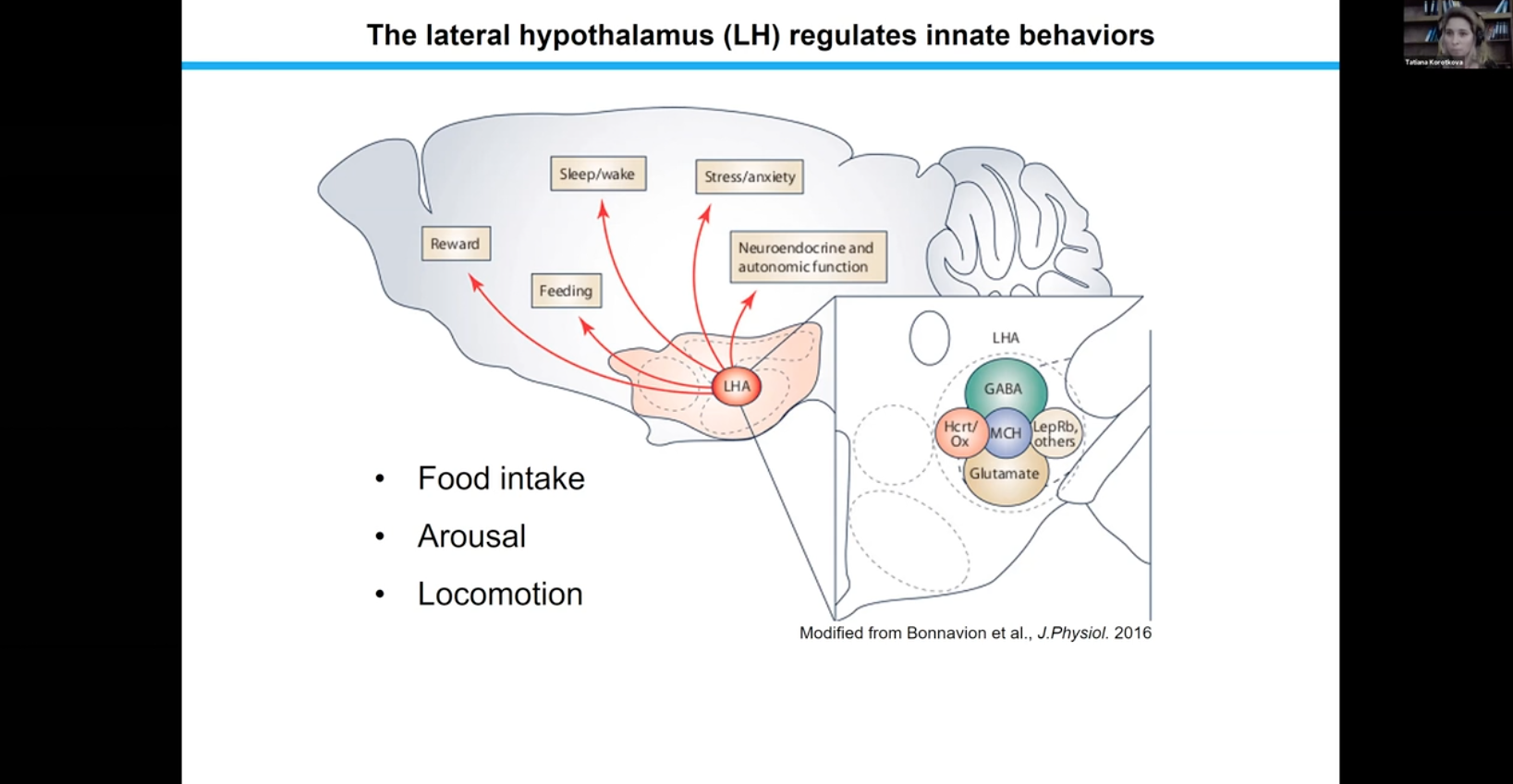 Tatiana Korotkova_innate behaviors in hypothalamus
