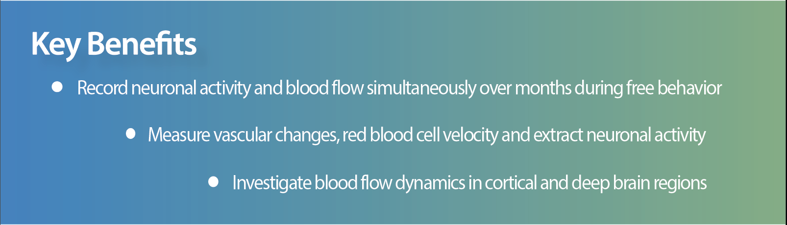 nVue blood flow imaging benefits