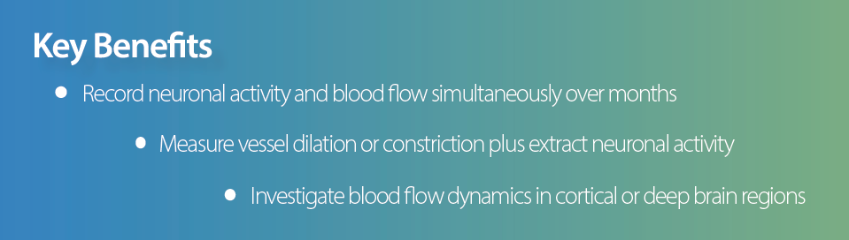 Blood Flow key benefits