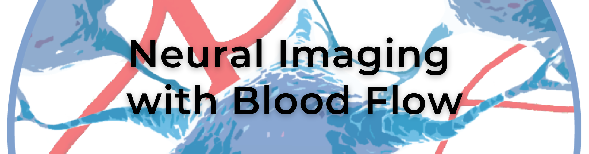NEW_Blood Flow Imaging Landing Page BANNER